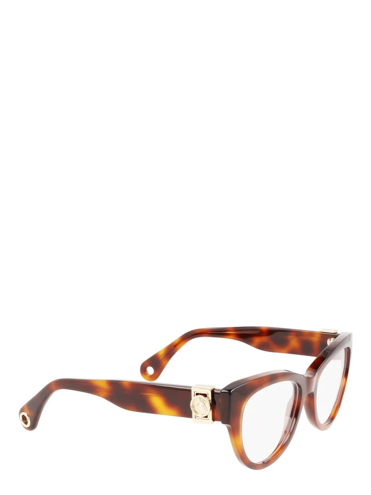 Brown Acetate Glasses (Frames)