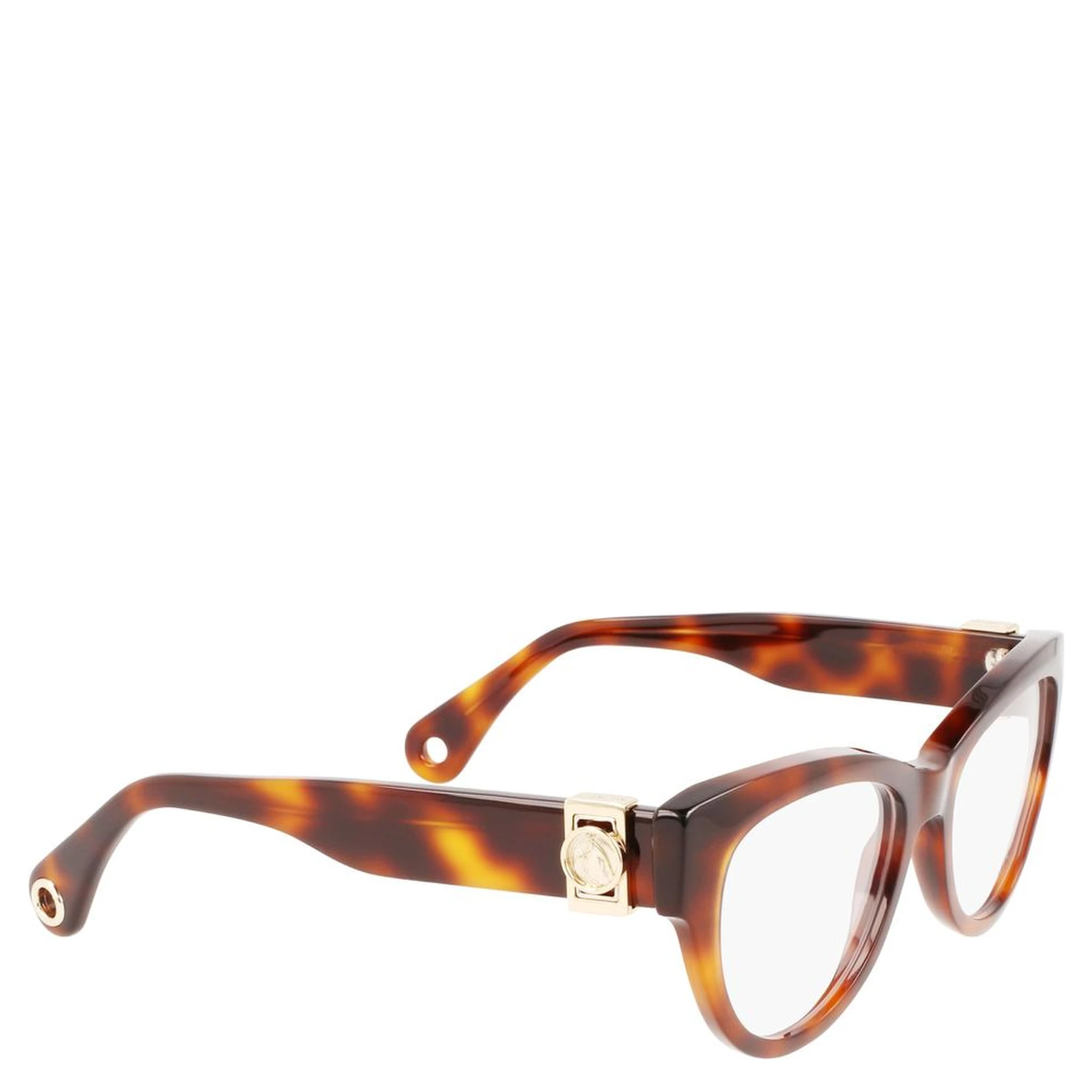 Brown Acetate Glasses (Frames)
