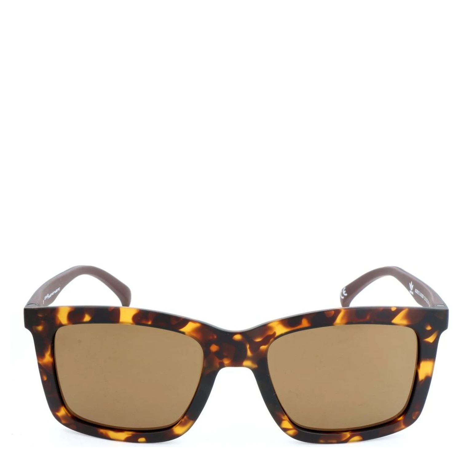 Brown Acetate Sunglasses