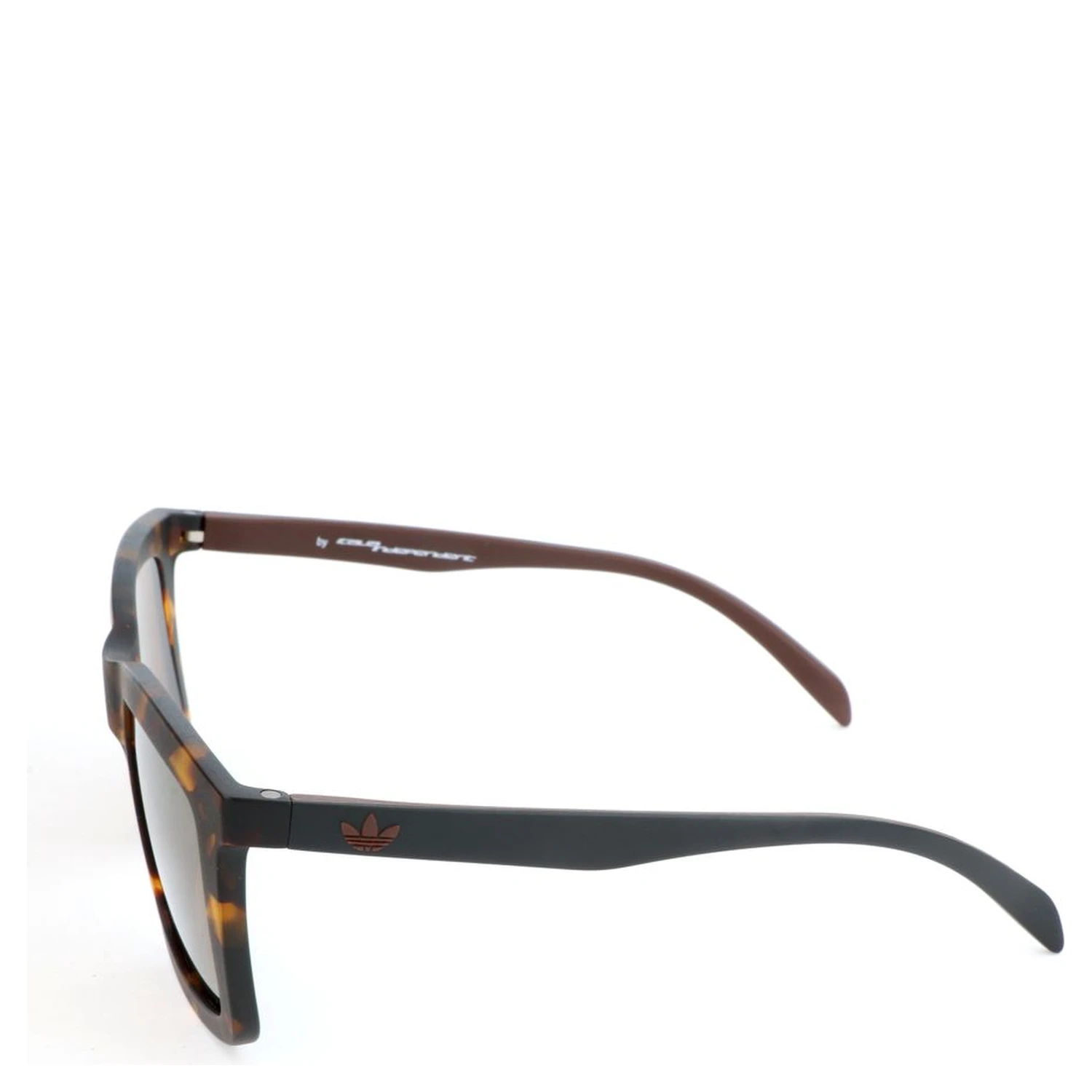Brown Acetate Sunglasses