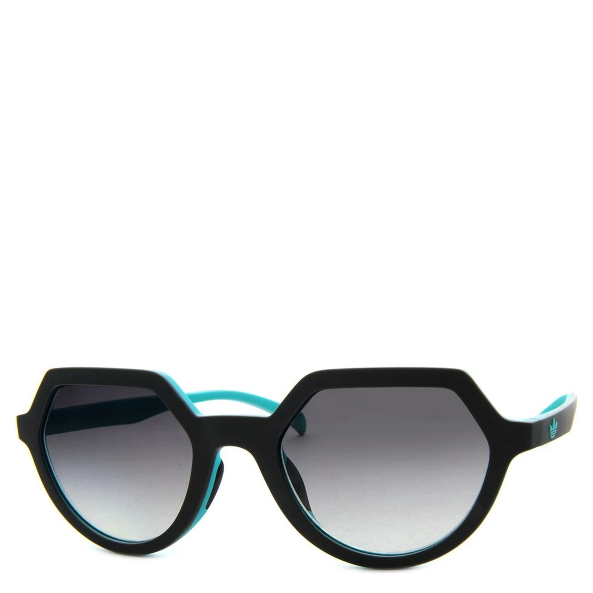 Black Plastic Sunglasses