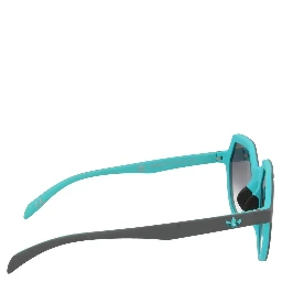 Black Plastic Sunglasses