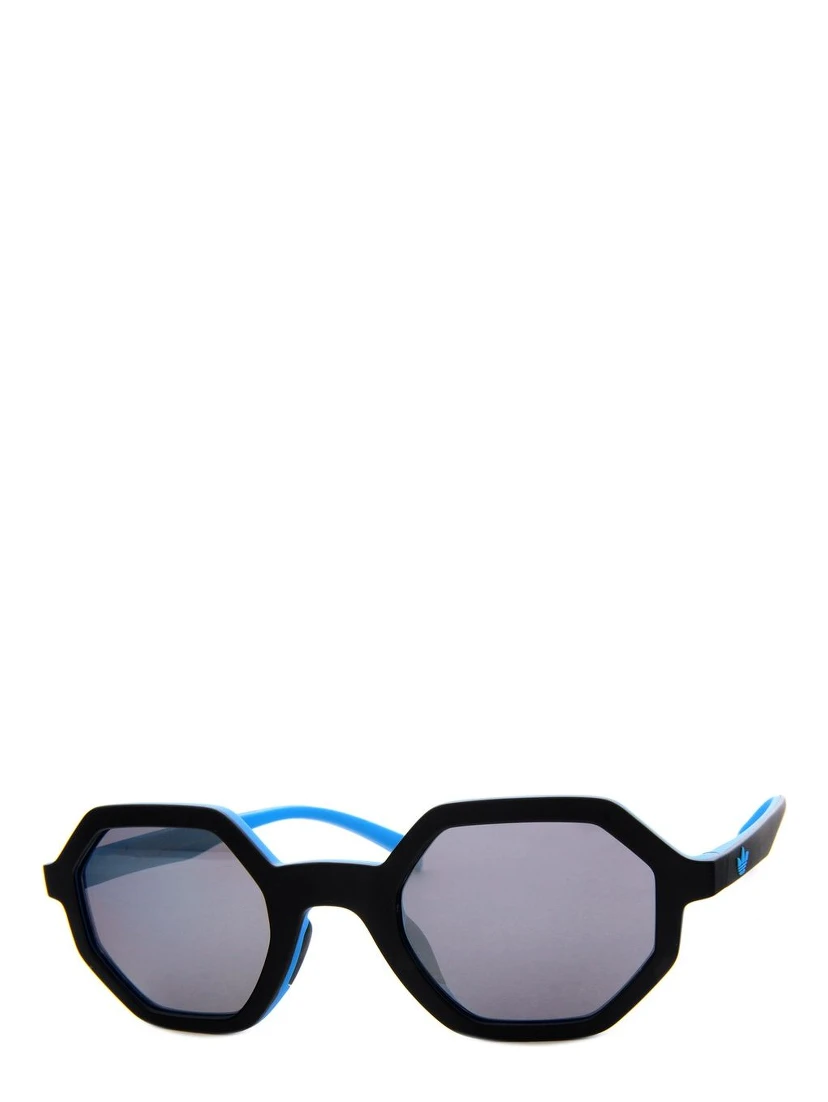 Black Plastic Sunglasses