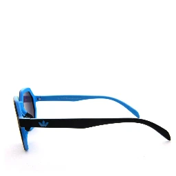 Black Plastic Sunglasses