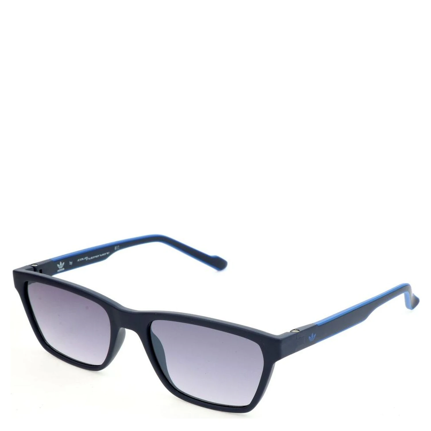 Blue Acetate Sunglasses