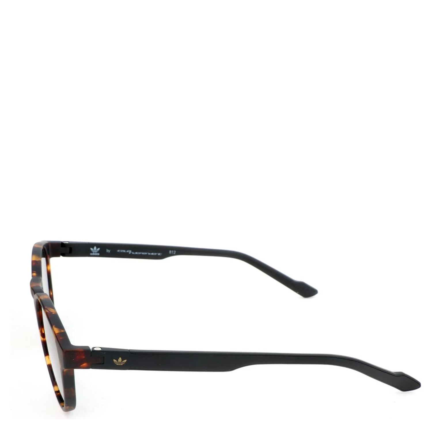 Bicolor Acetate Sunglasses