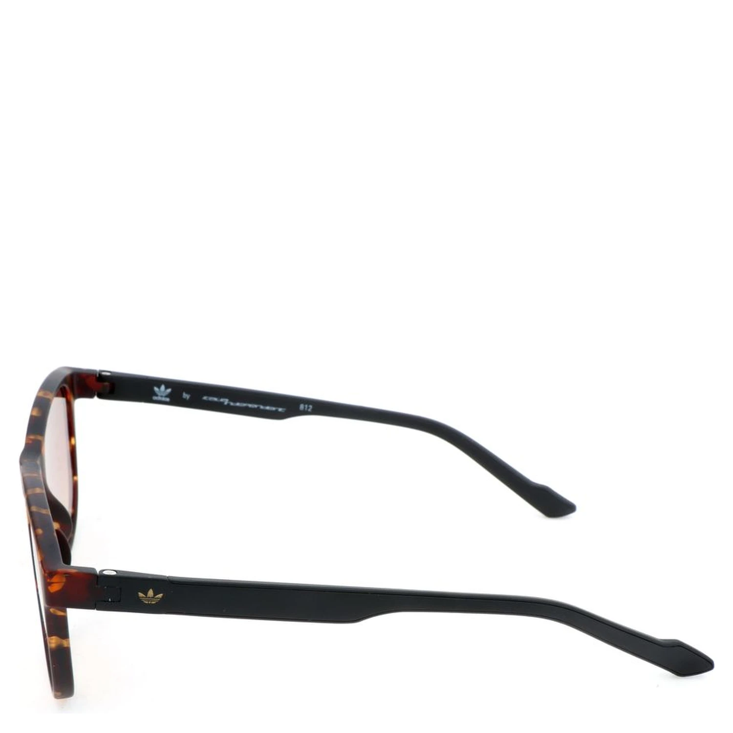 Bicolor Acetate Sunglasses