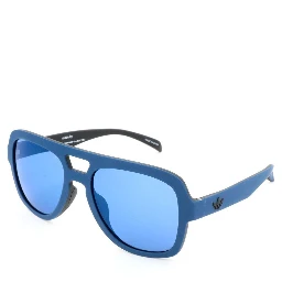 Blue Plastic Sunglasses