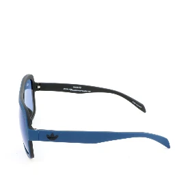 Blue Plastic Sunglasses
