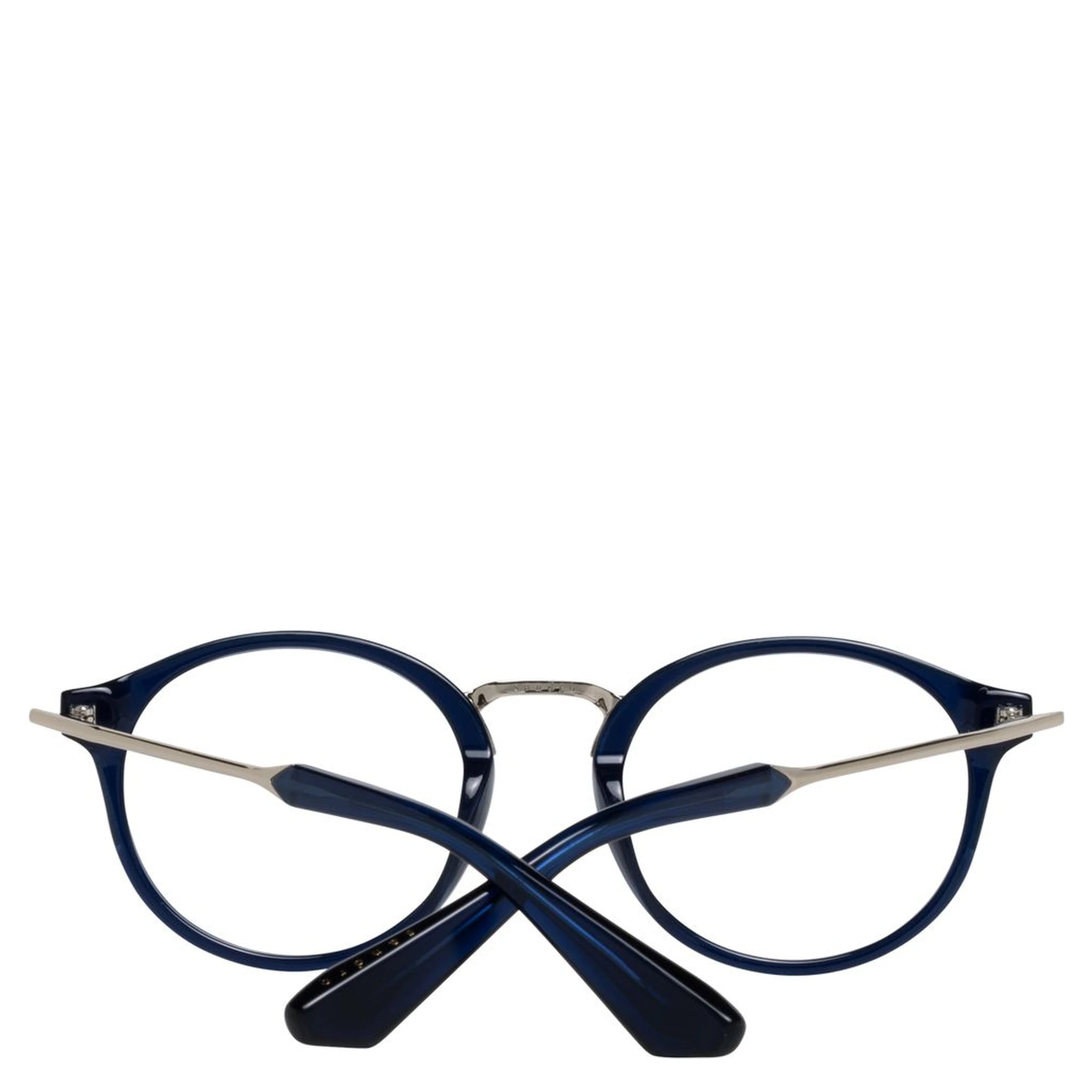 Blue Plastic Glasses (Frames)