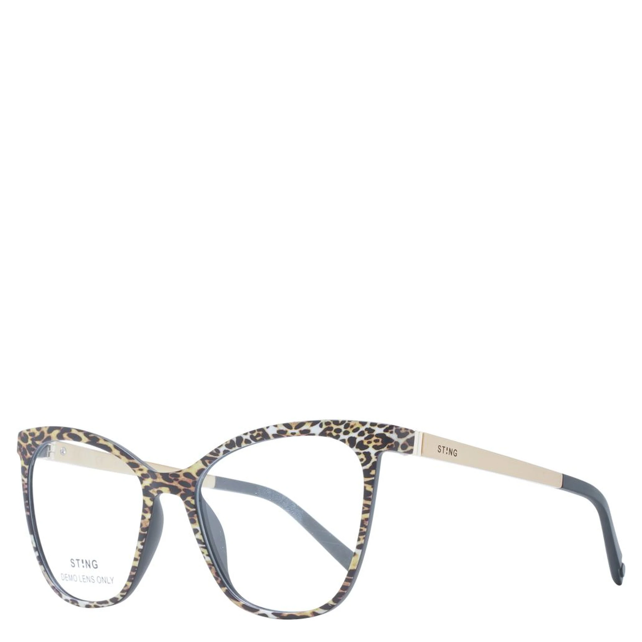 Black Plastic Glasses (Frames)