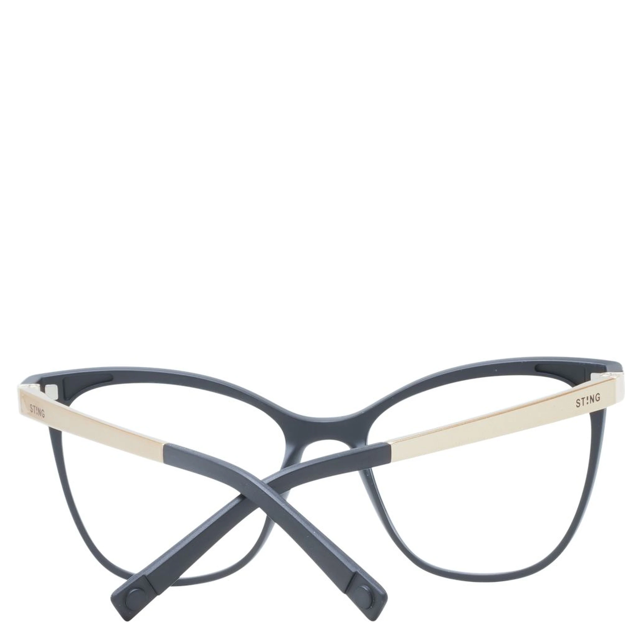 Black Plastic Glasses (Frames)