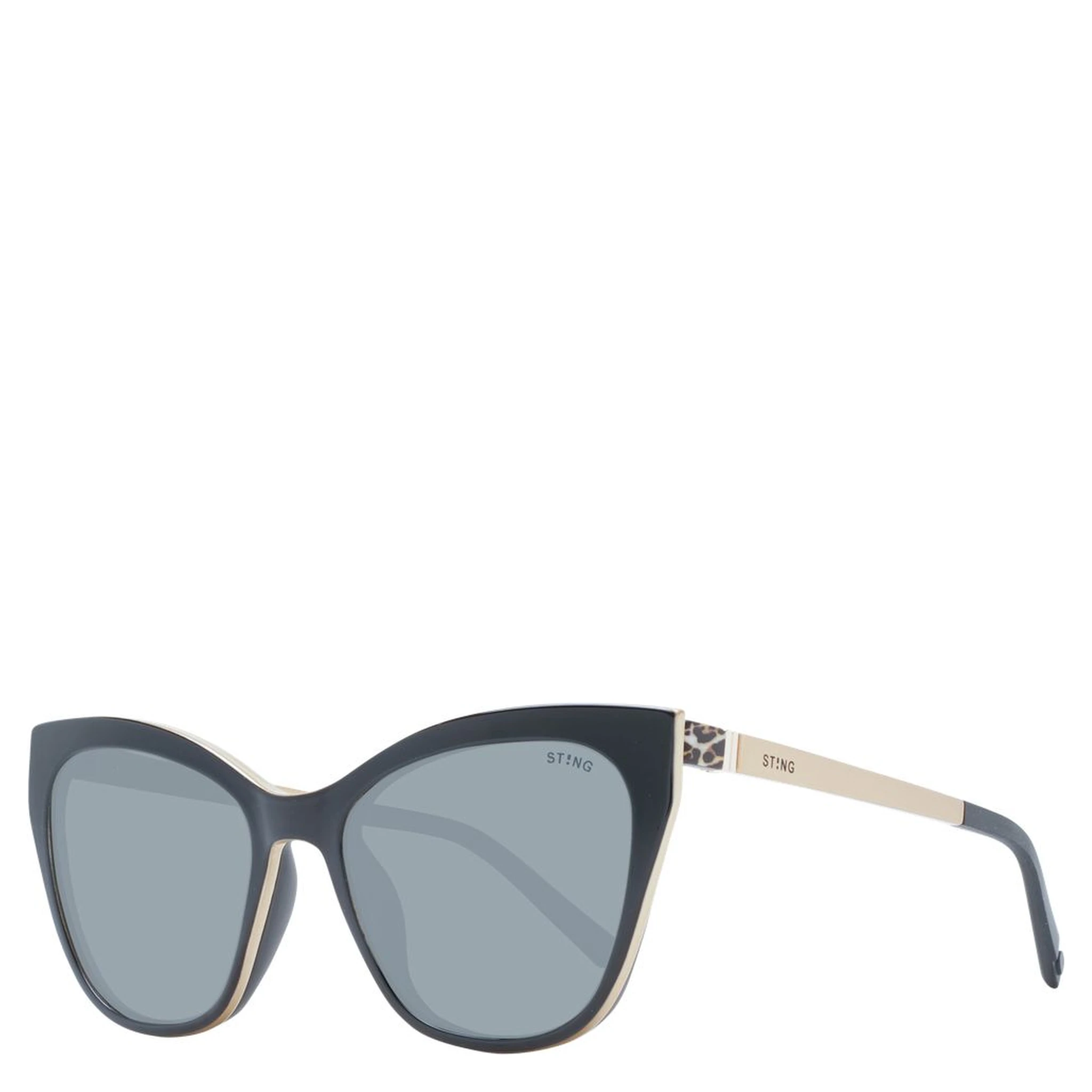 Black Plastic Glasses (Frames)