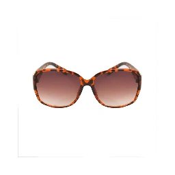 Brown Resin Sunglasses