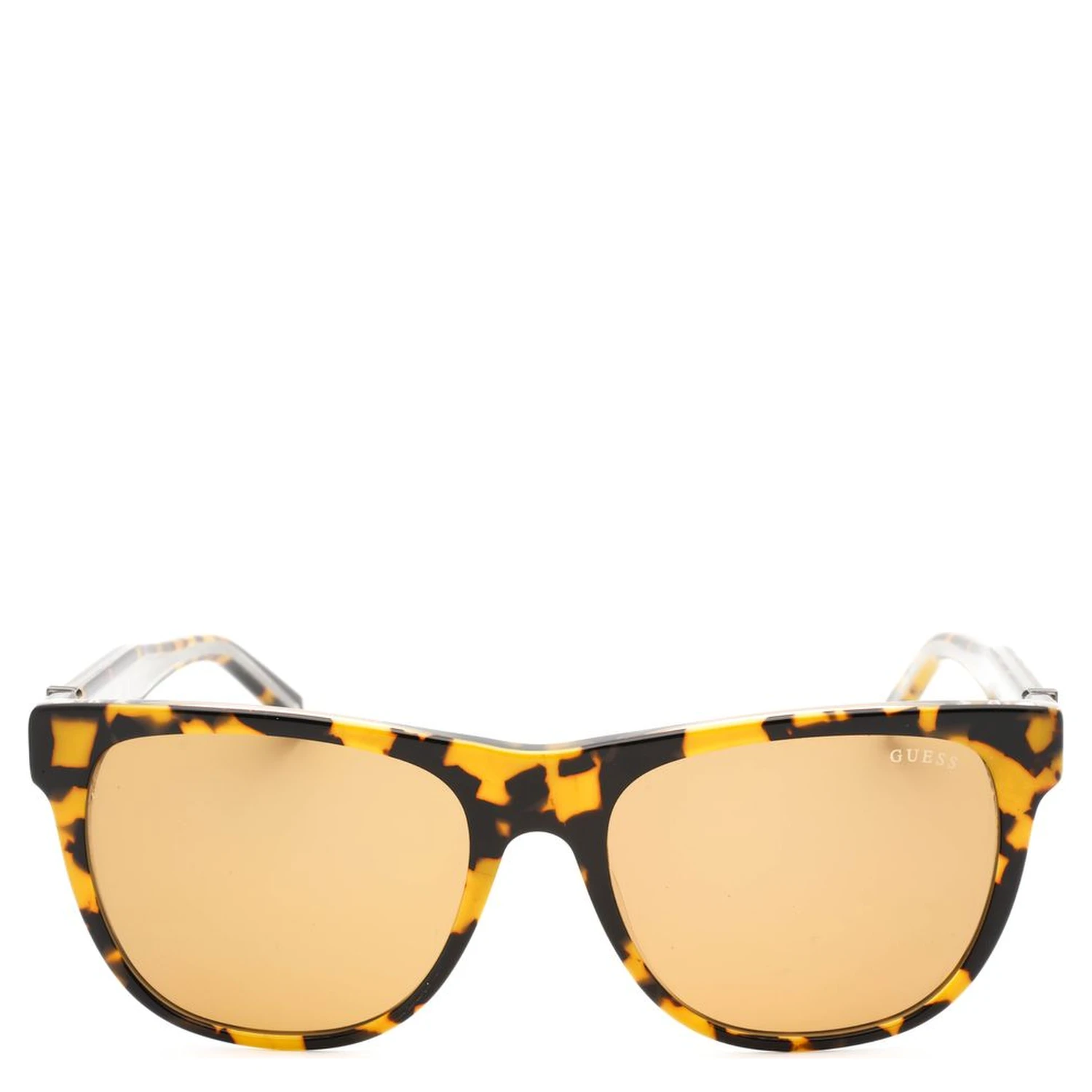 Brown Resin Sunglasses