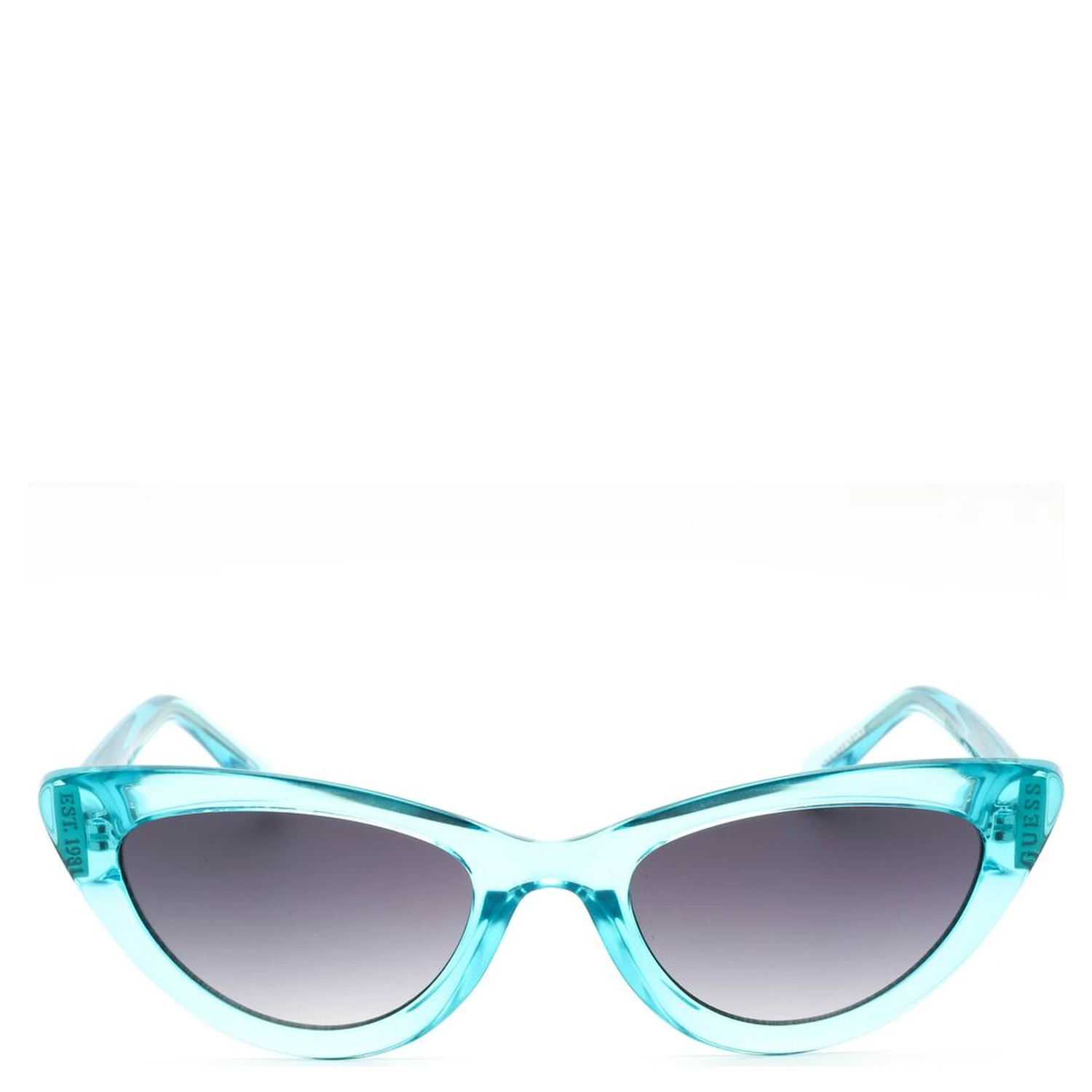 Blue Resin Sunglasses