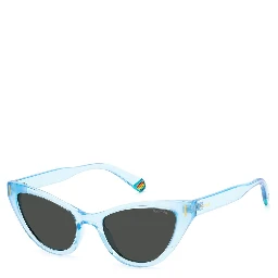 Blue Plastic Sunglasses