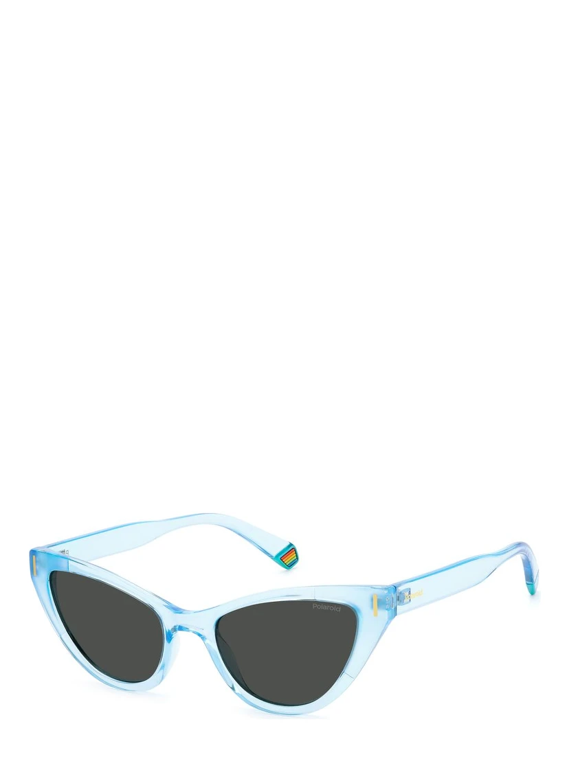 Blue Plastic Sunglasses