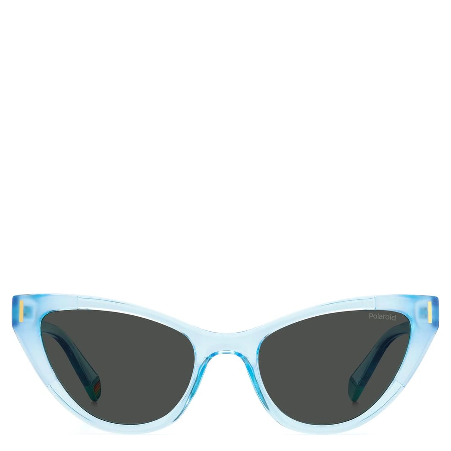 Blue Plastic Sunglasses