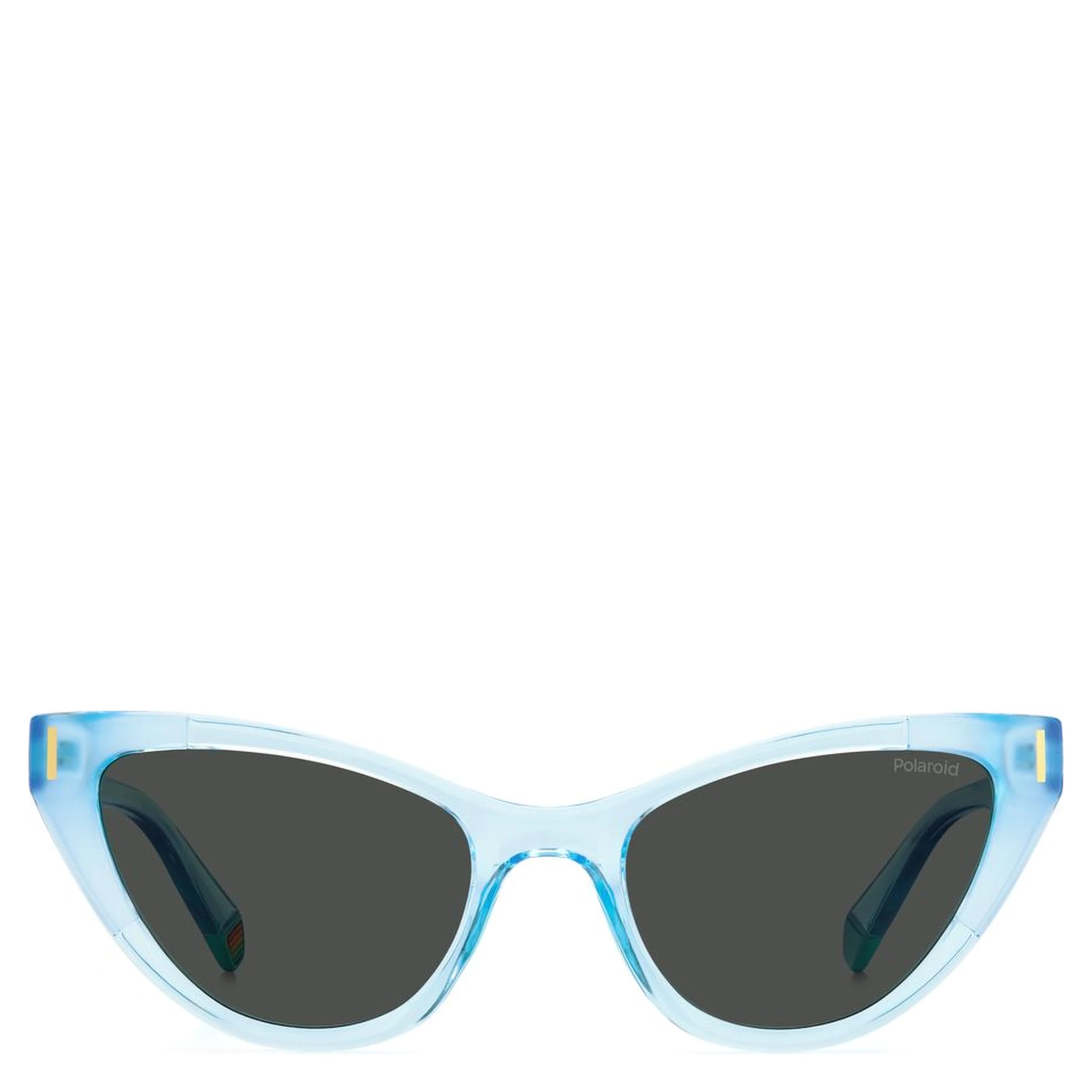 Blue Plastic Sunglasses