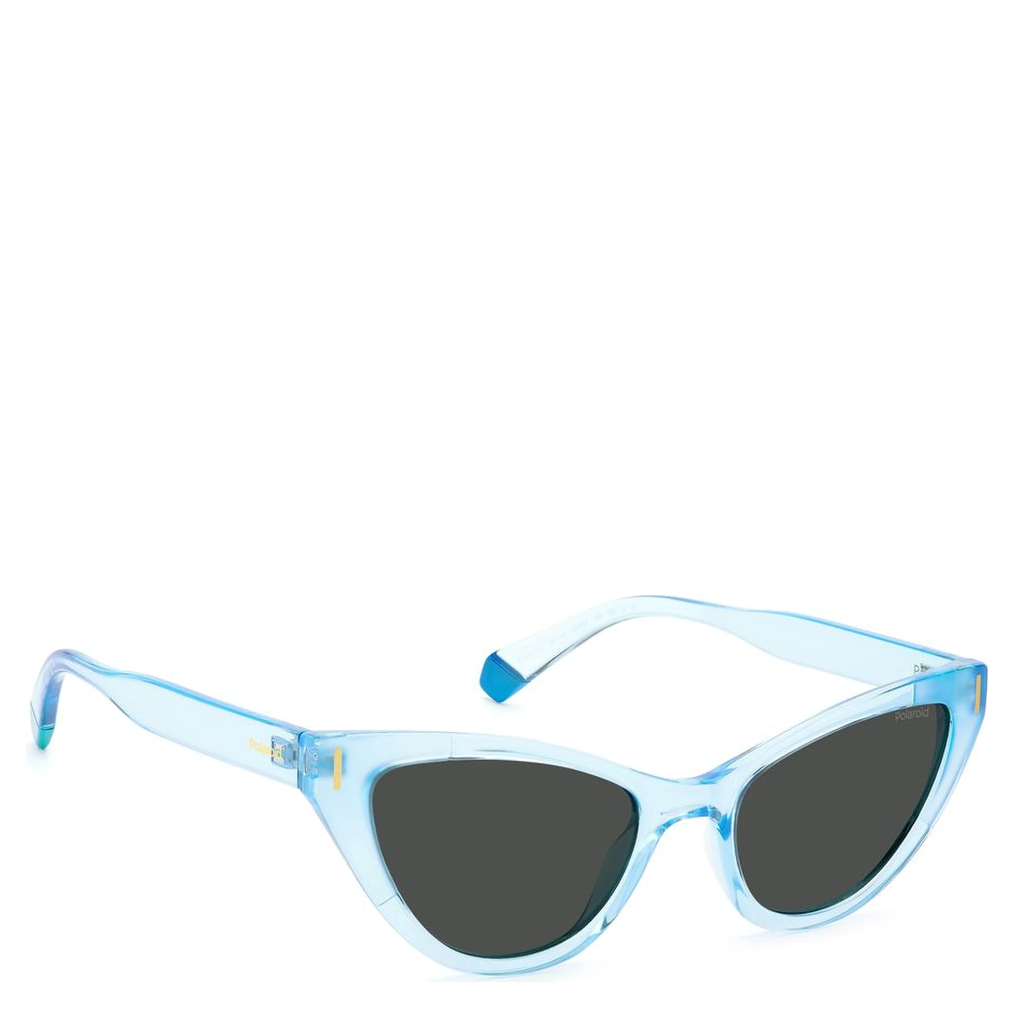 Blue Plastic Sunglasses