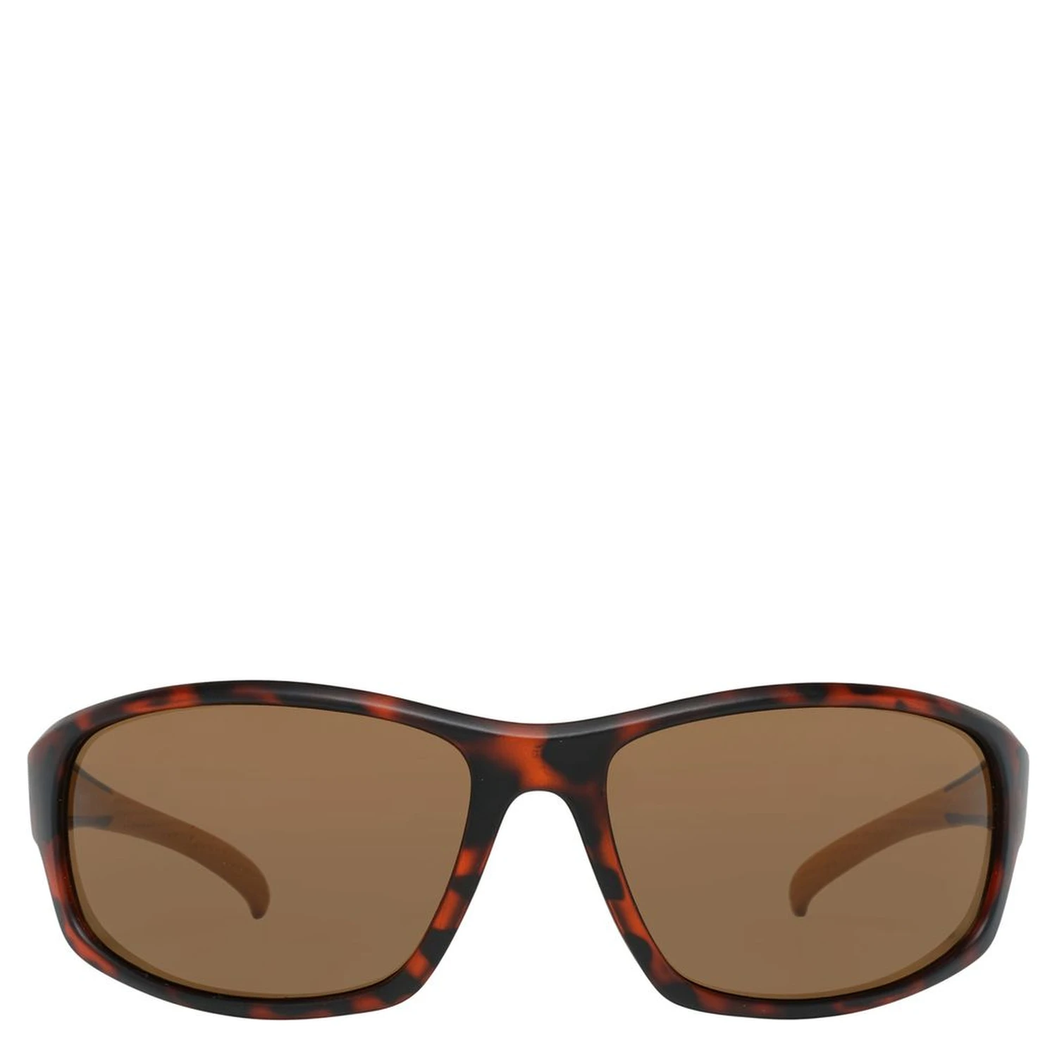 Blue Resin Sunglasses
