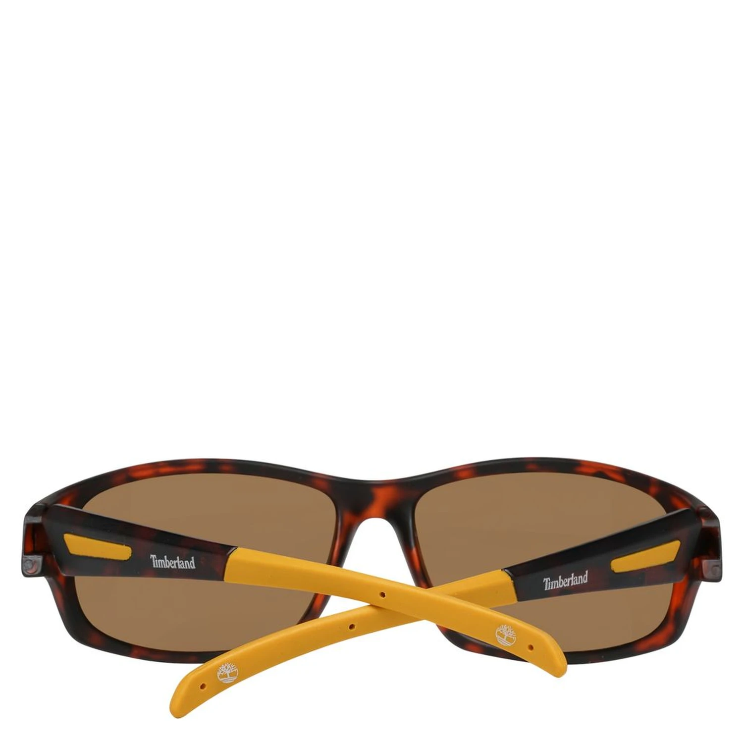 Blue Resin Sunglasses