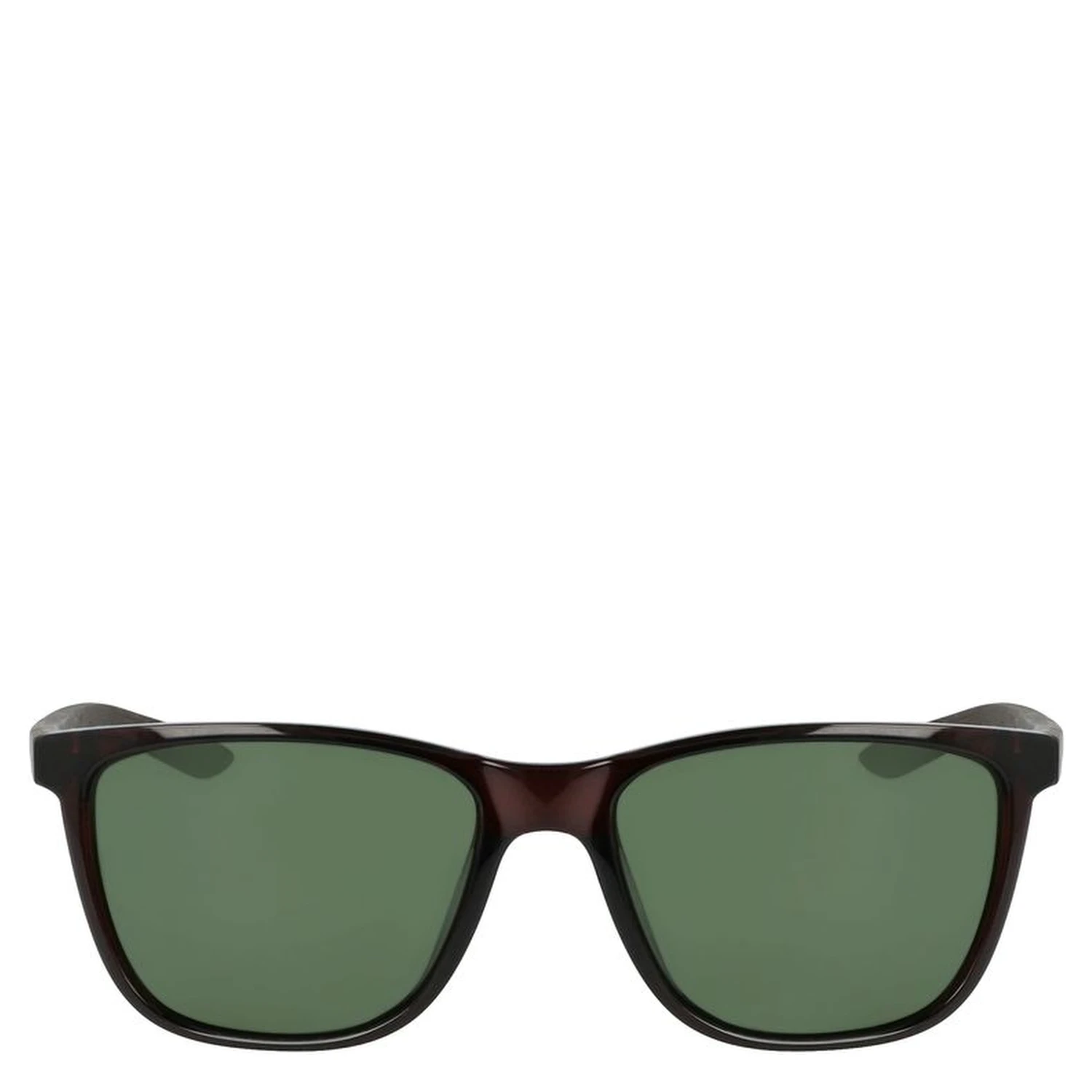 Brown Injected Sunglasses