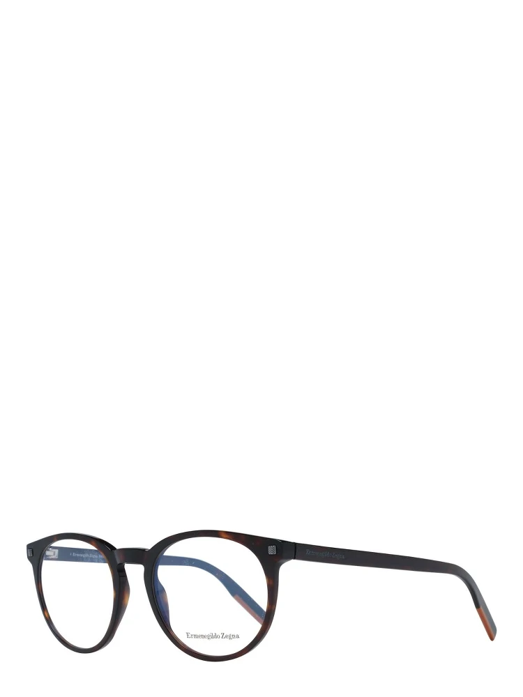 Brown Plastic Glasses (Frames)