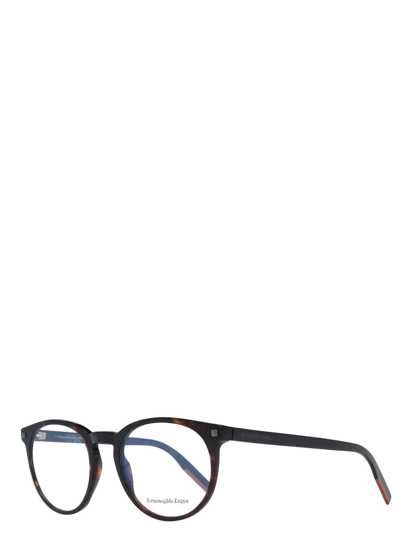 Brown Plastic Glasses (Frames)