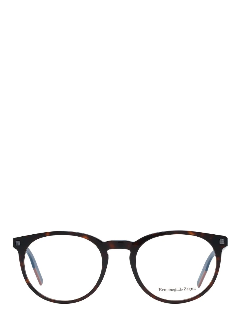 Brown Plastic Glasses (Frames)