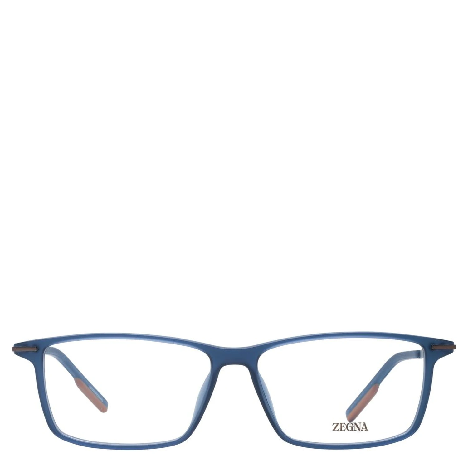 Blue Plastic Glasses (Frames)