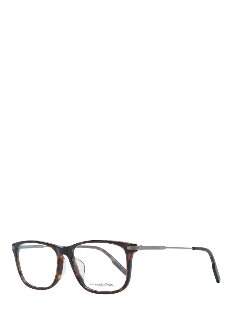Brown Plastic Glasses (Frames)