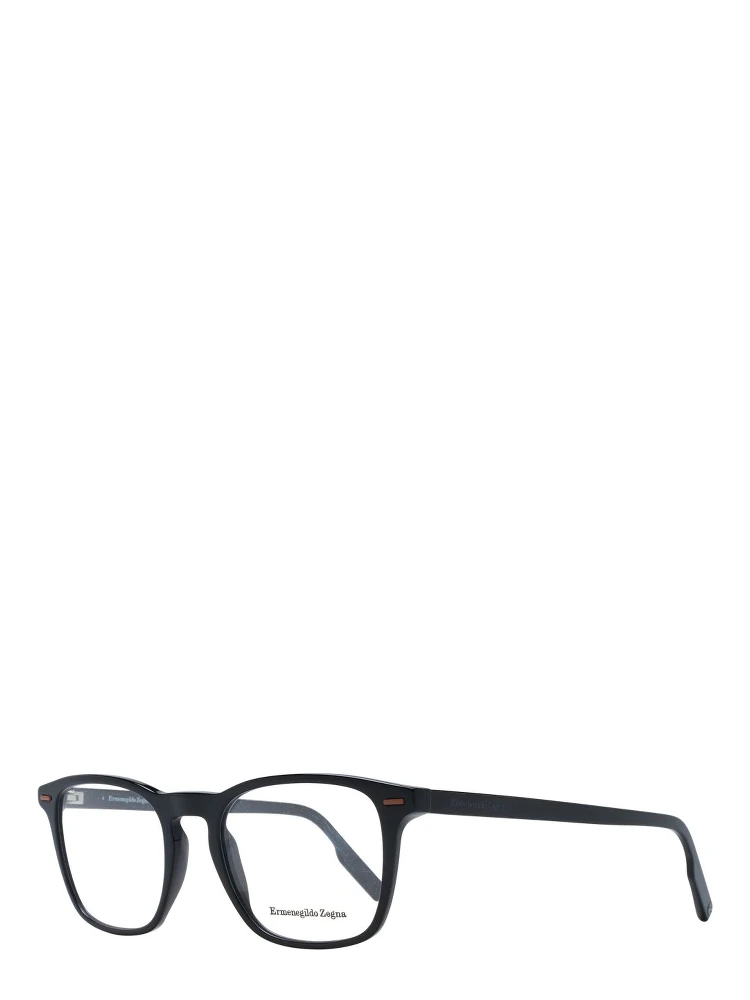 Black Plastic Glasses (Frames)