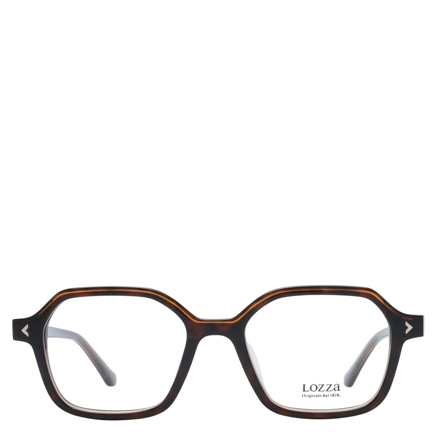 Brown Acetate & Plastic Glasses (Frames)
