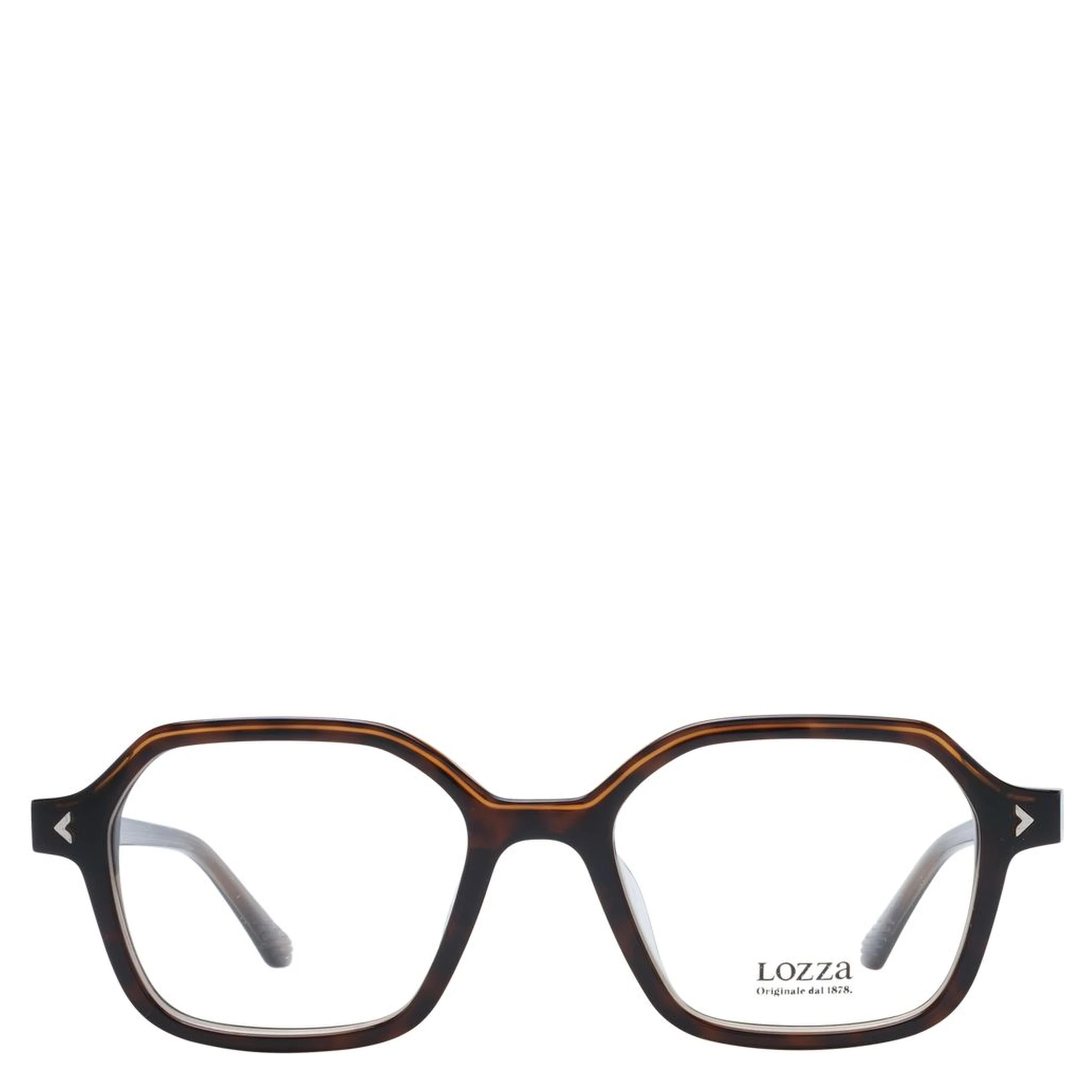 Brown Acetate & Plastic Glasses (Frames)