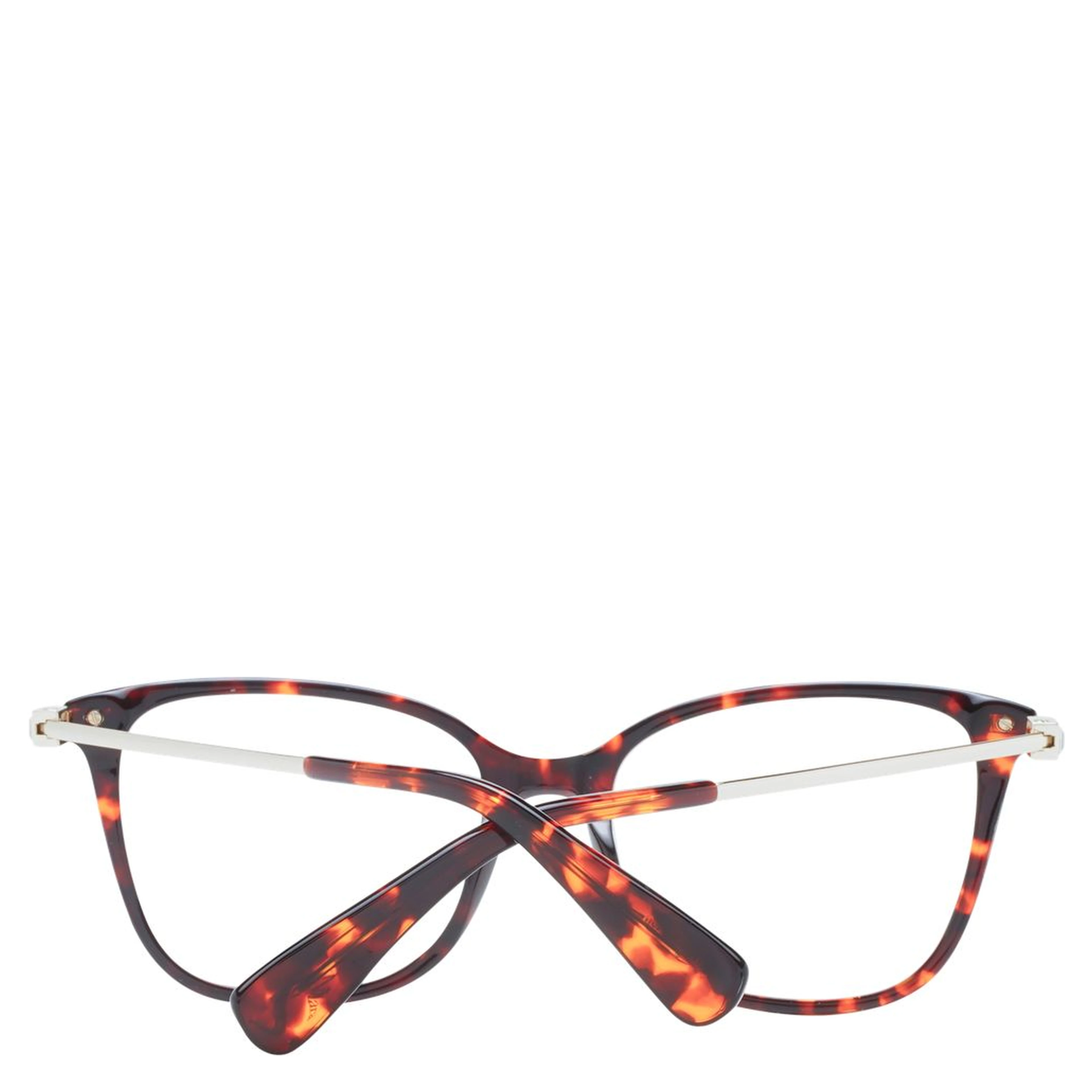 Brown Plastic Glasses (Frames)
