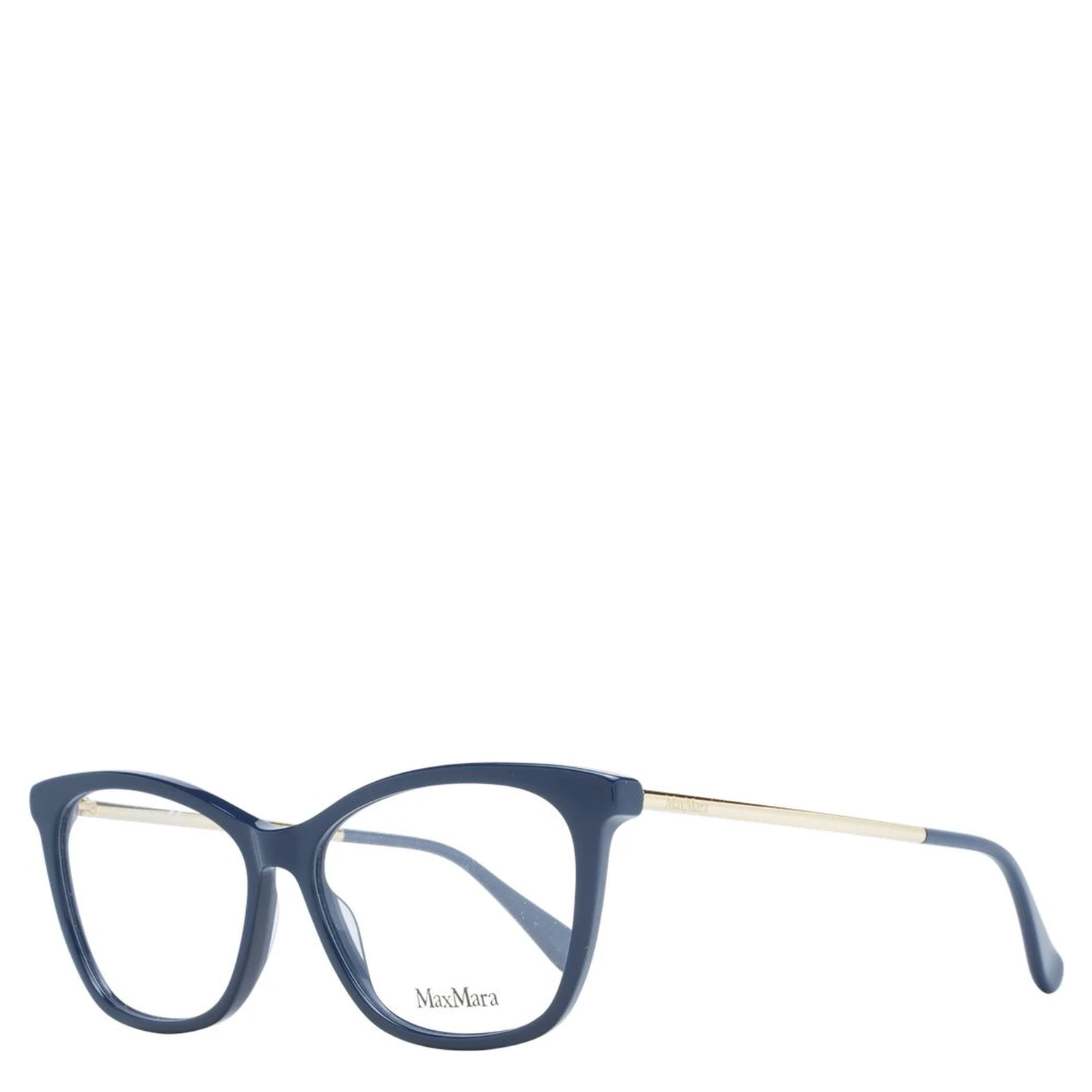 Blue Plastic Glasses (Frames)