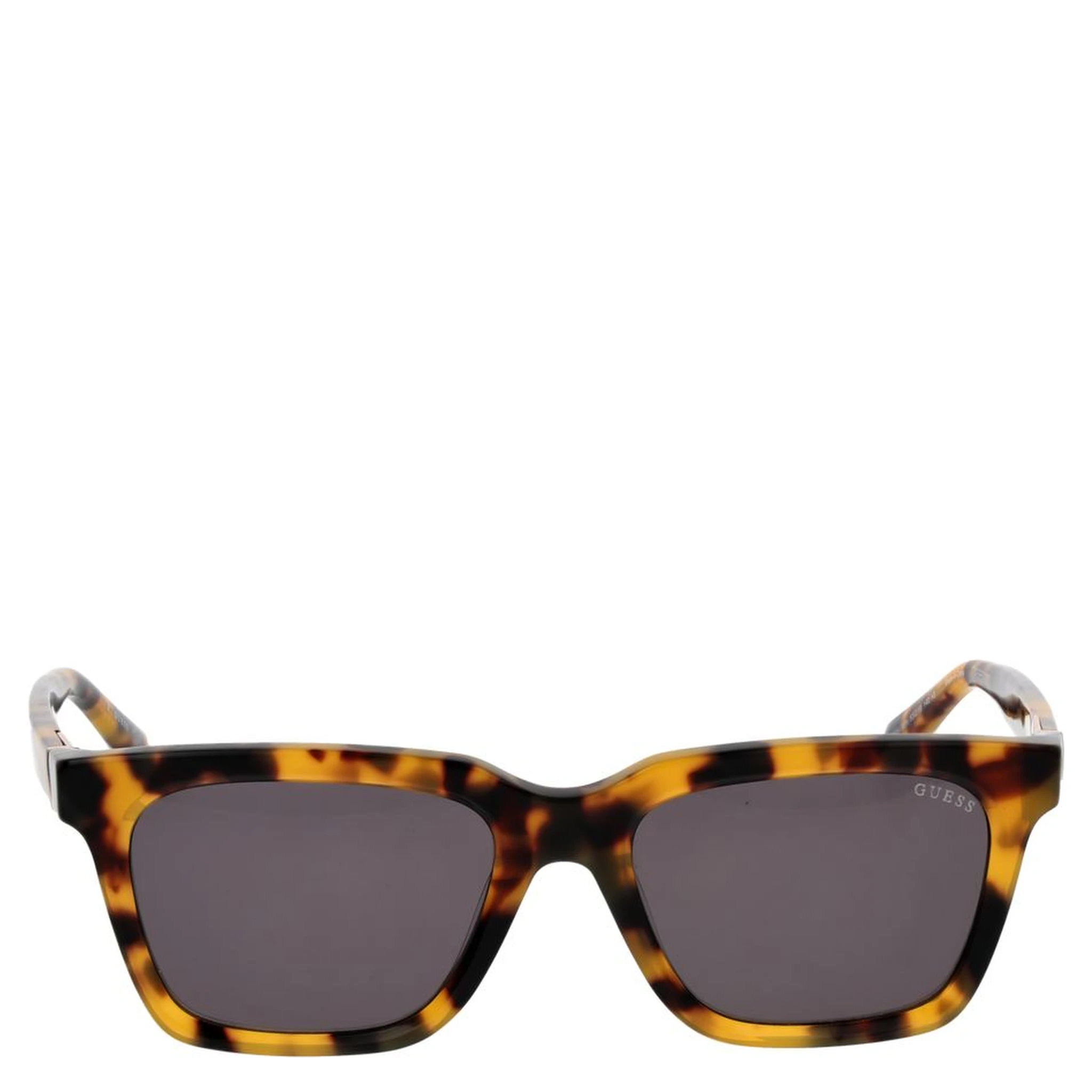 Brown Plastic Sunglasses