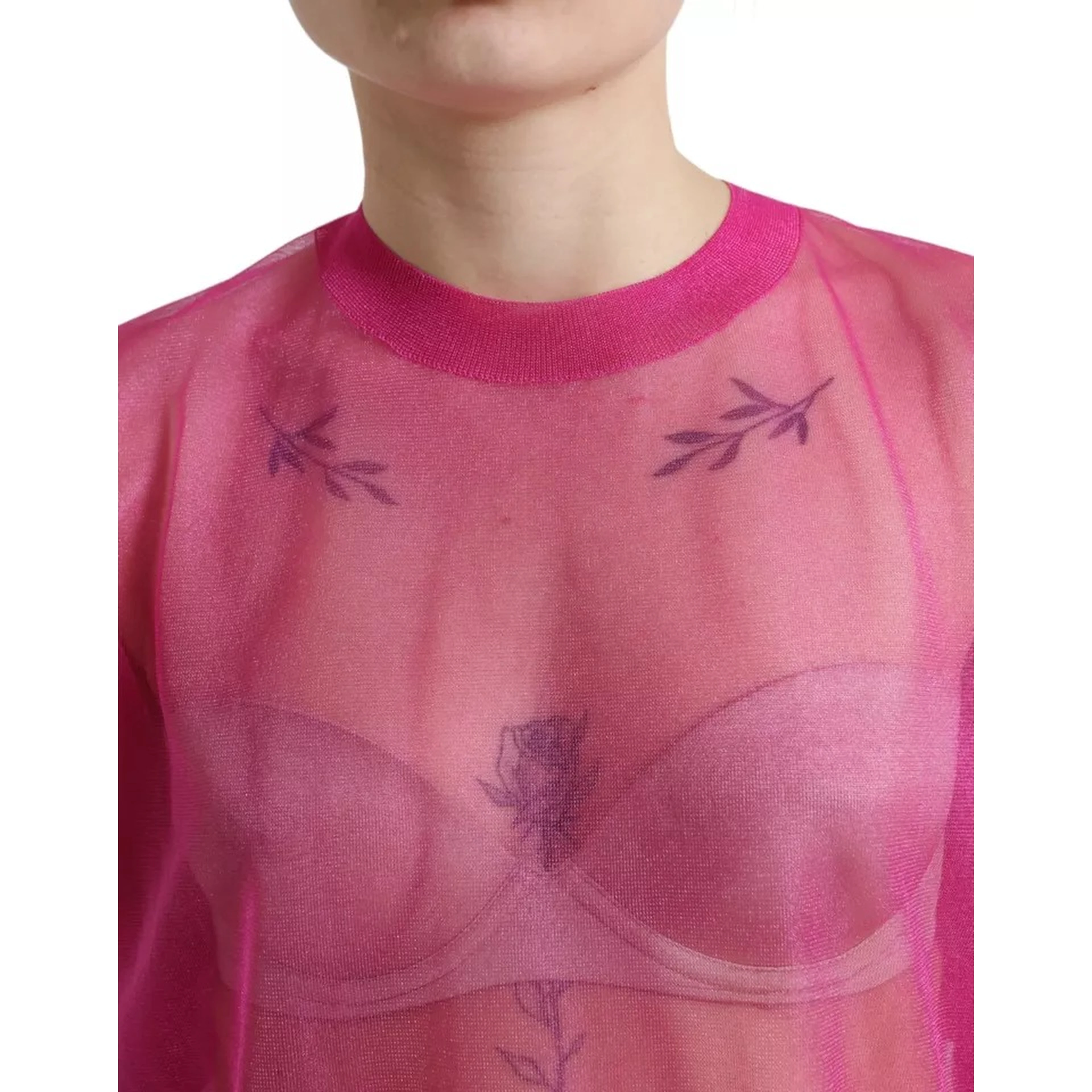 Pink Sheer Long Sleeves Crewneck Top Blouse
