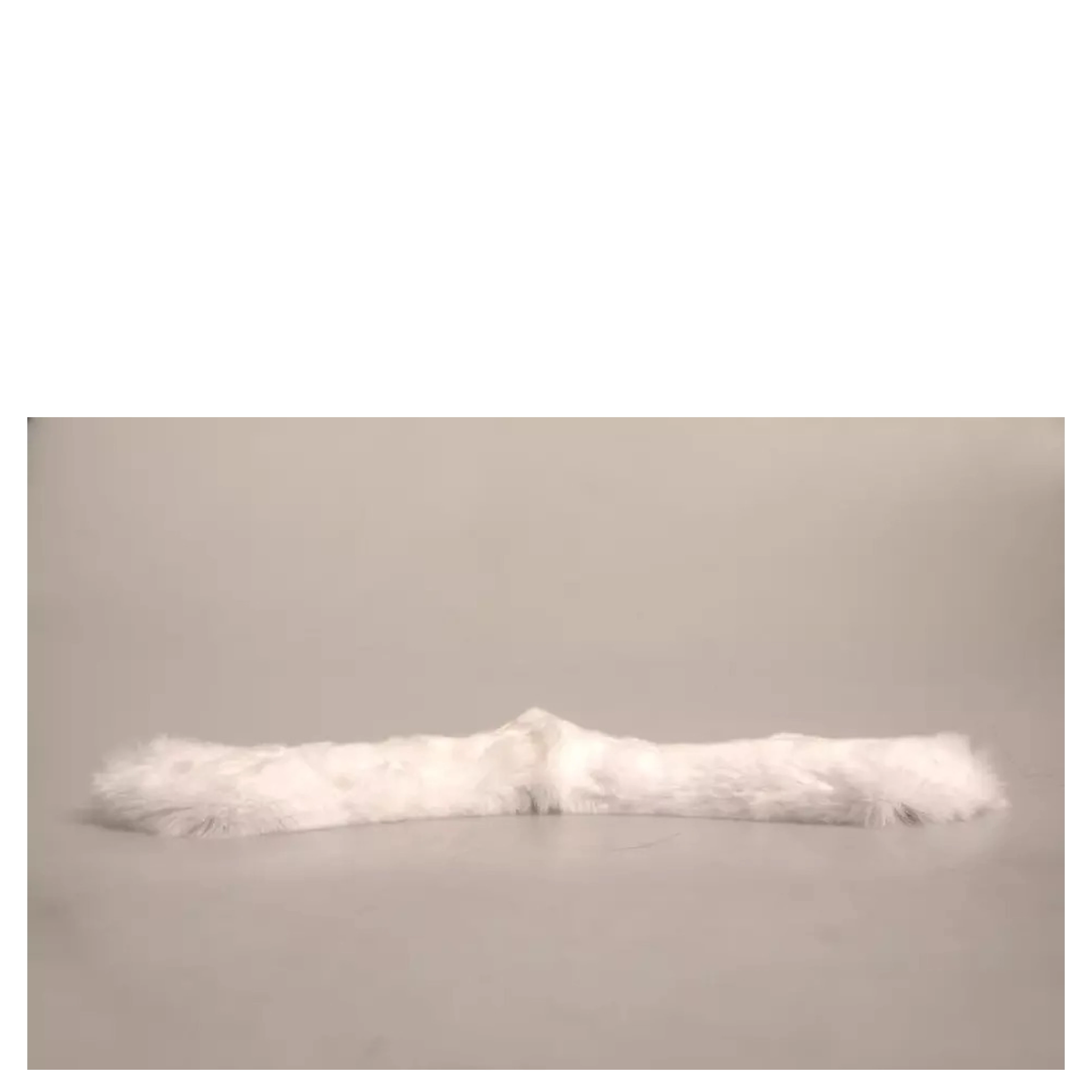 White Fur Shoulder Collar Wrap Shawl Scarf