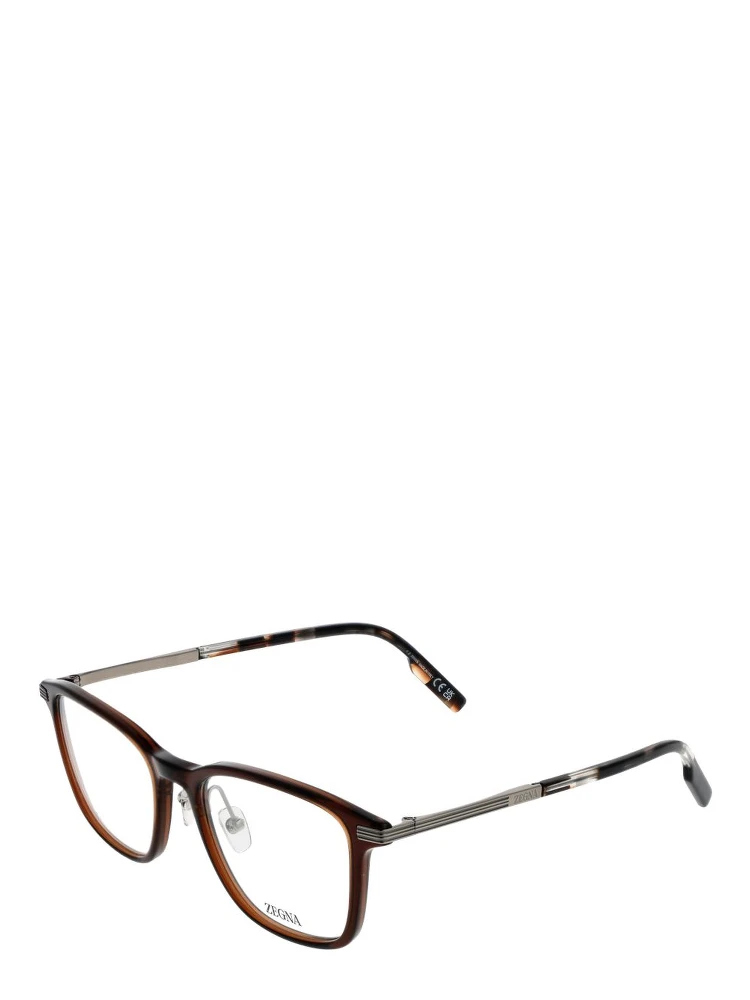 Brown Plastic & Titanium Glasses (Frames)