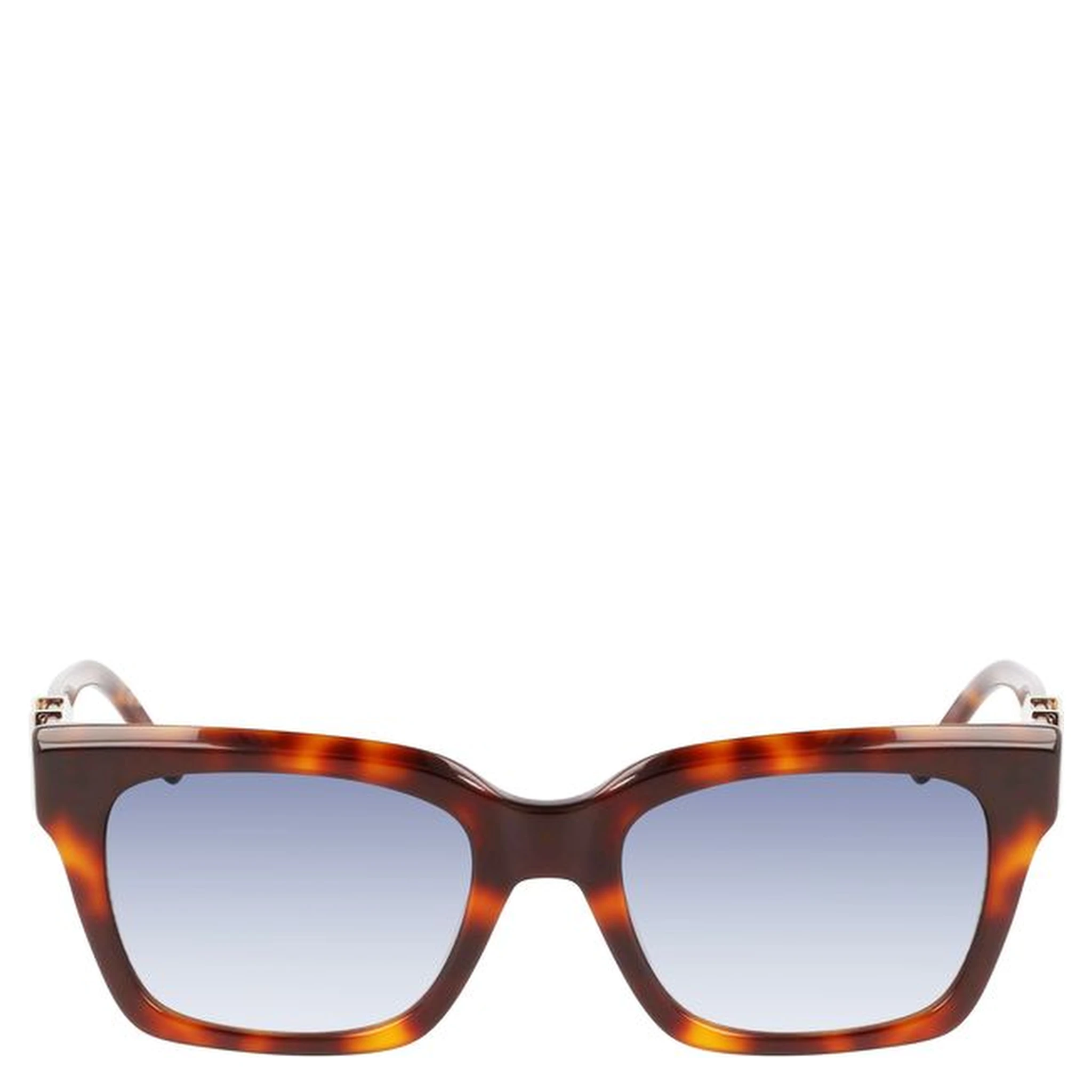 Brown Acetate Sunglass
