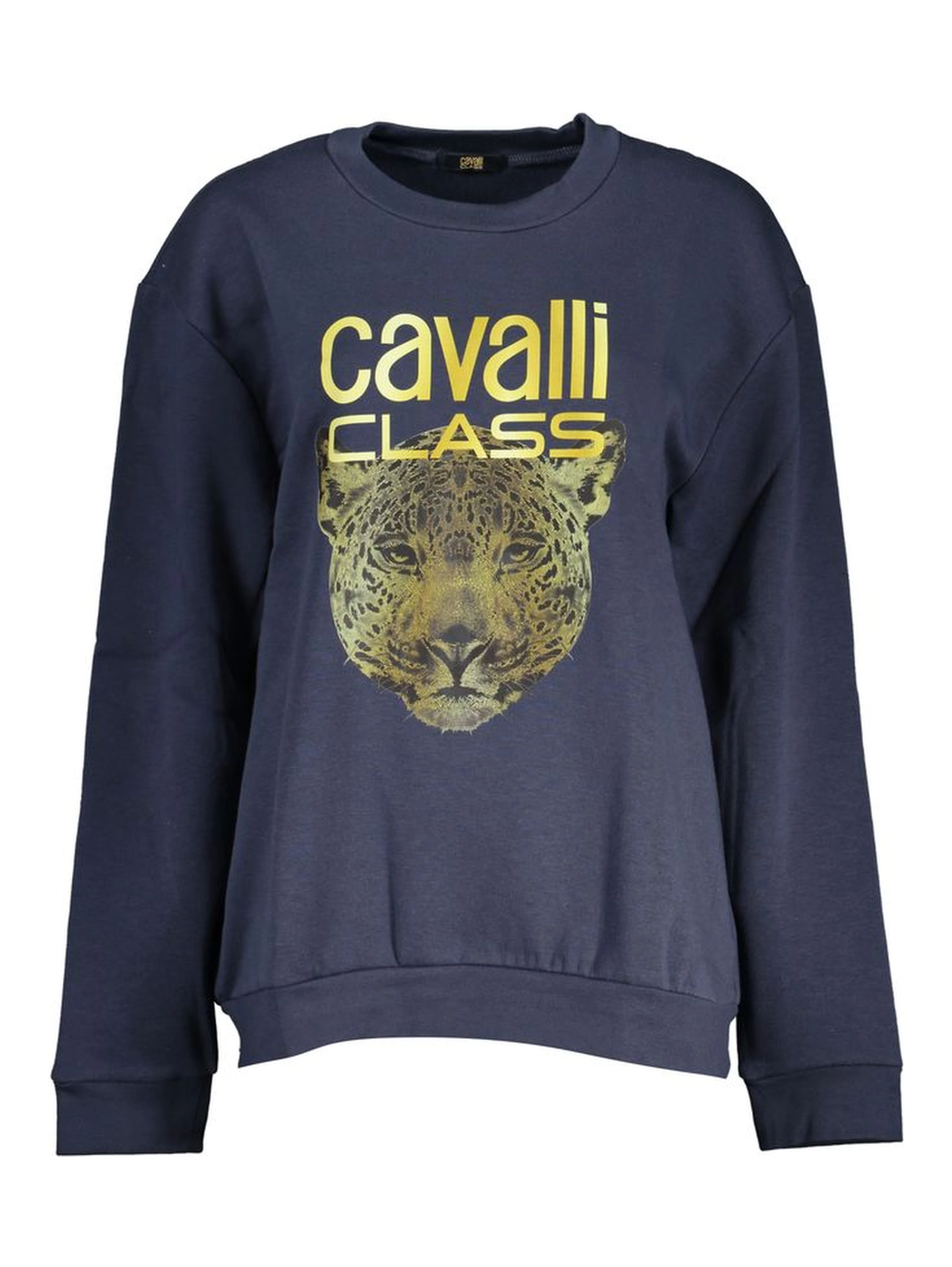 Blue Cotton Sweatshirt
