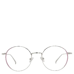 Gray Metal Glasses (Frames)