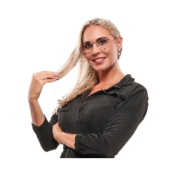 Gray Metal Glasses (Frames)