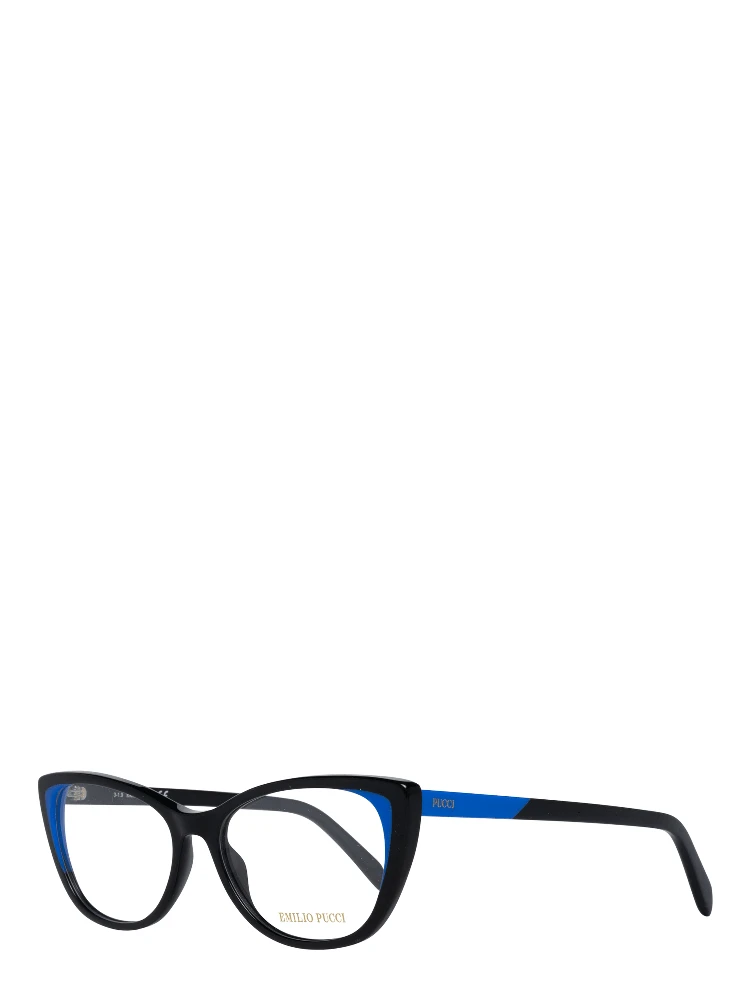 Black Plastic Glasses (Frames)