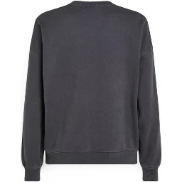 Gray Cotton Sweatshirt
