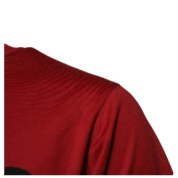 Red DG Logo Cotton Crew Neck T-shirt