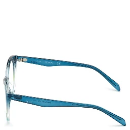 Brown Resin Glasses (Frames)